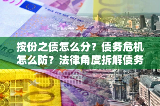 武汉按份之债怎么分？债务危机怎么防？法律角度拆解债务分配与风险自保指南