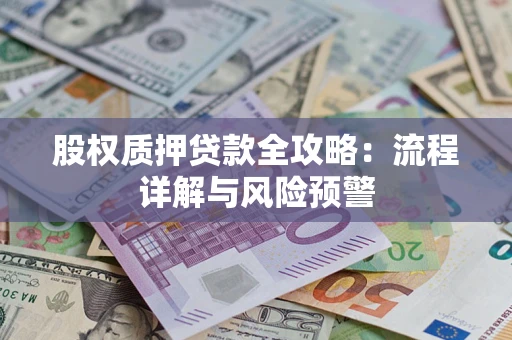 武汉股权质押贷款全攻略：流程详解与风险预警