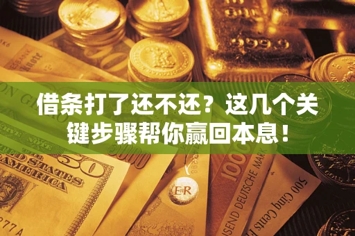 武汉借条打了还不还？这几个关键步骤帮你赢回本息！