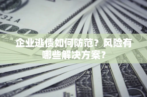 武汉企业逃债如何防范？风险有哪些解决方案？