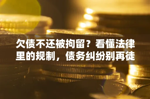 武汉欠债不还被拘留？看懂法律里的规制，债务纠纷别再徒劳奔波
