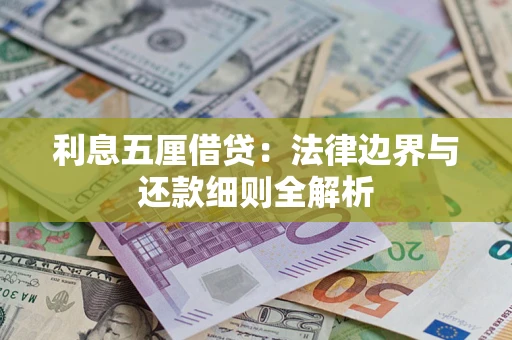 武汉利息五厘借贷：法律边界与还款细则全解析