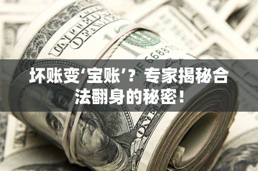 武汉坏账变‘宝账’？专家揭秘合法翻身的秘密！