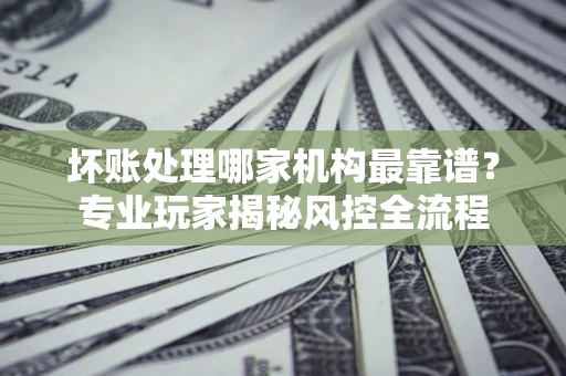武汉坏账处理哪家机构最靠谱？专业玩家揭秘风控全流程