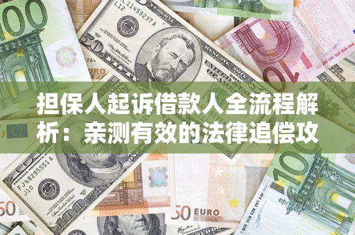 武汉担保人起诉借款人全流程解析：亲测有效的法律追偿攻略