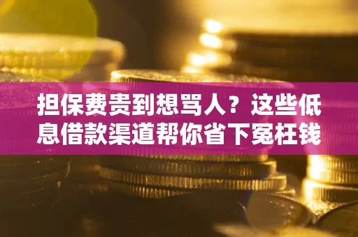 武汉担保费贵到想骂人？这些低息借款渠道帮你省下冤枉钱