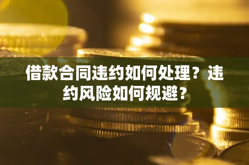 武汉借款合同违约如何处理？违约风险如何规避？