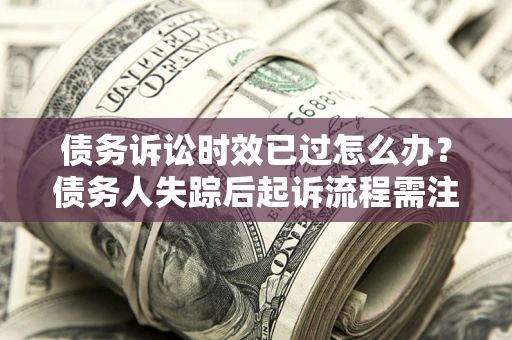 武汉债务诉讼时效已过怎么办？债务人失踪后起诉流程需注意什么？