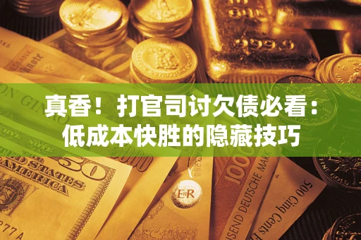 武汉真香！打官司讨欠债必看：低成本快胜的隐藏技巧