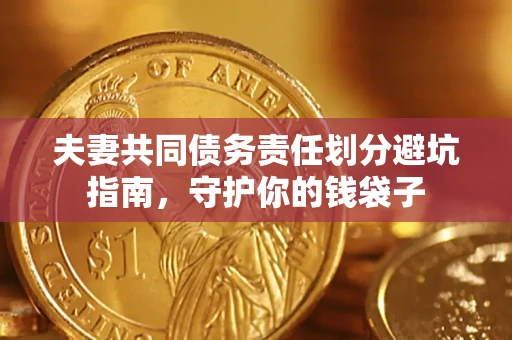 武汉夫妻共同债务责任划分避坑指南，守护你的钱袋子