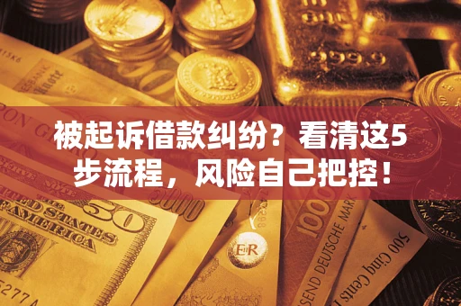 武汉被起诉借款纠纷？看清这5步流程，风险自己把控！