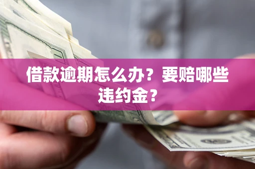 武汉借款逾期怎么办？要赔哪些违约金？