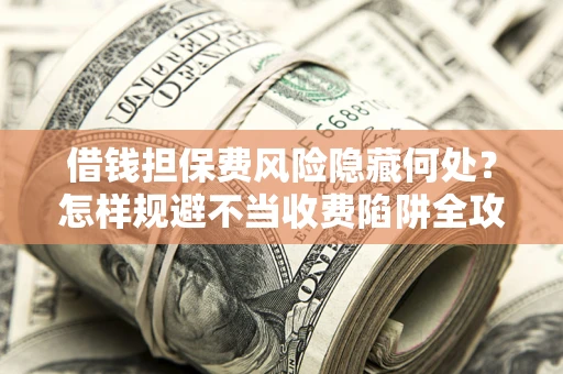 武汉借钱担保费风险隐藏何处？怎样规避不当收费陷阱全攻略！