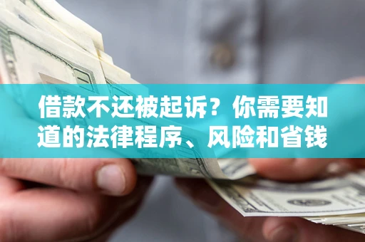 武汉借款不还被起诉？你需要知道的法律程序、风险和省钱技巧