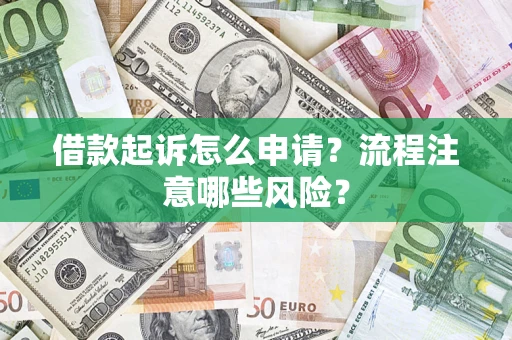 武汉借款起诉怎么申请？流程注意哪些风险？