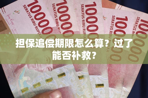武汉担保追偿期限怎么算？过了能否补救？
